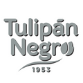 Tulipan Negro