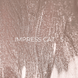 EDLEN Impress cat eye 9 ml №5 R1-00006404 фото 3